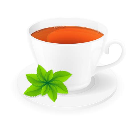 Porcelain Cup Of Tea With Mint Vector Illustration 489097 Vector Art At