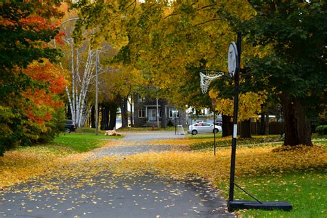 residential neighborhood street  stock photo public domain pictures