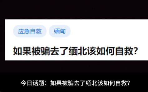 如果被骗去了缅北该如何自救？ 今日话题君 今日话题君 哔哩哔哩视频