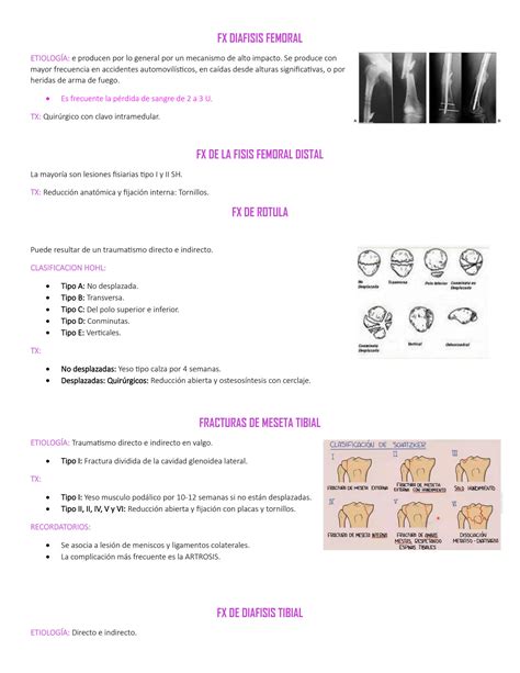 Solution Temas Traumatolog A Y Ortopedia Enarm Final Final