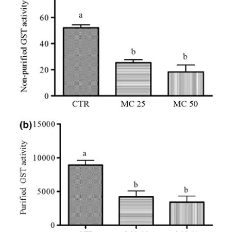 Glutathione S Transferase Activity Expressed As Nmol CDNBGSH