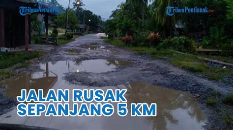 Jalan Sepanjang 5 Km Di Bentunai Selakau Masih Rusak Tokoh Masyarakat