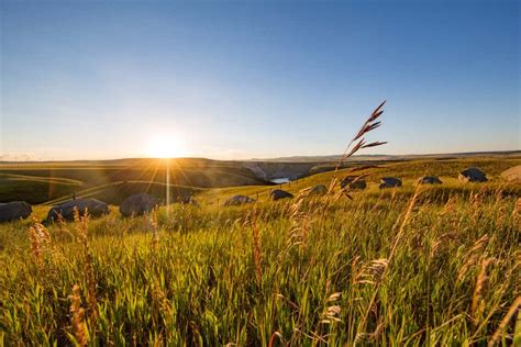 4 Unique Day Trips From Calgary Road Trip Alberta