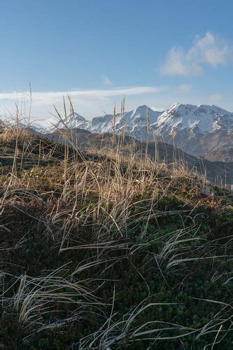 Mountain Meadow Liminal Flickr