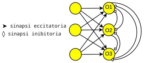 Le Tipologie Di Reti Neurali E Nsight Blog