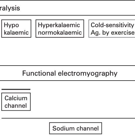 Classification and diagnosis of muscle channelopathies. This figure... | Download Scientific Diagram