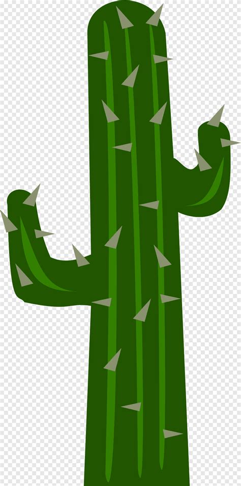 Cactaceae Euclidean Cactus S Free Leaf Text Png PNGEgg