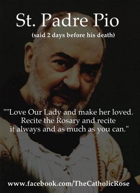 Padre Pio Saint Quotes Catholic Catholic Prayers Catholic Quotes