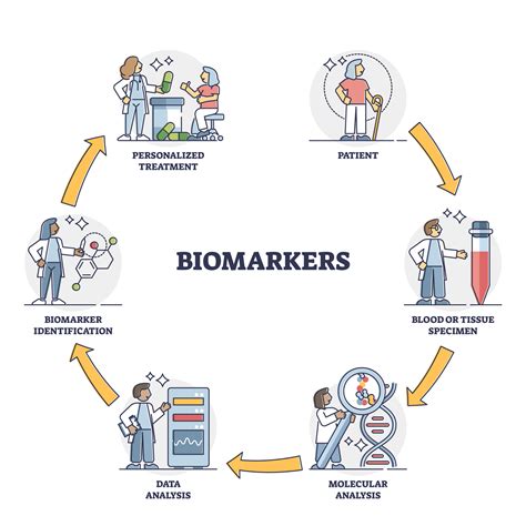 Biomarkers Process Cycle Explanation For Patient Healthcare Outline