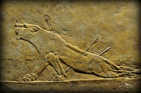 Assyrian Lion Hunting At The British Museum World History Et Cetera