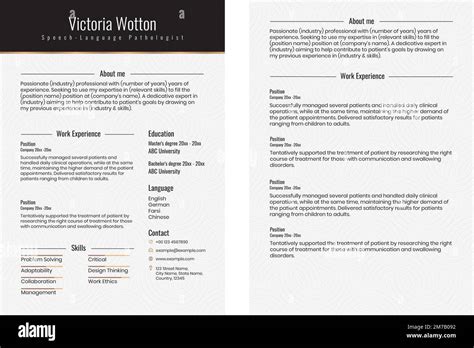 Luxury Resume Editable Template Vector In Black And Gold Stock Vector