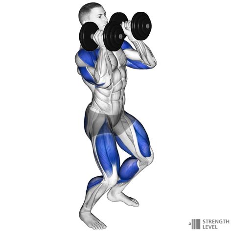 Dumbbell Hang Clean Standards For Men And Women Lb Strength Level