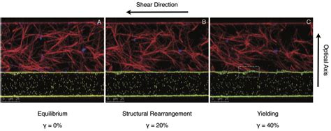 Confocal Rheology Of Collagen