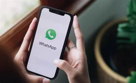 Amati Tanda Whatsapp Anda Disadap Ini Cara Mengatasinya Egindo