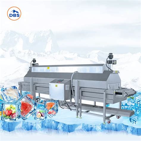 1000kg H Deep Freezing Seafood Meat Lobster Crab IQF Liquid Nitrogen