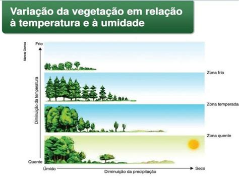 Vegetação Clima E Relevo - FDPLEARN 