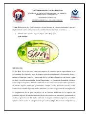 Plan Estrategico Ambiental Pdf Universidad Estatal De Bol Var