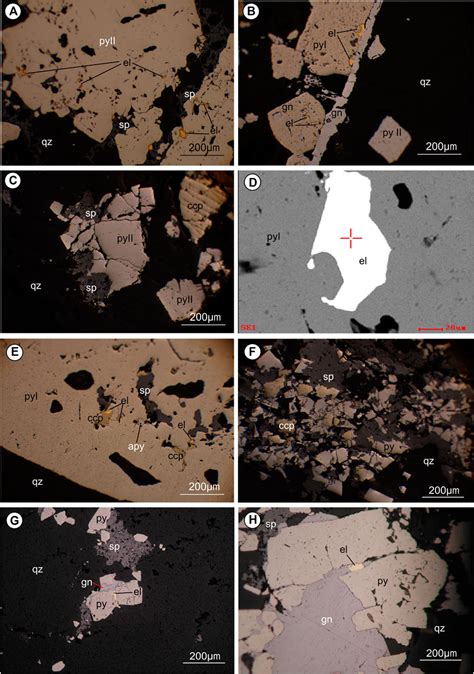 Frontiers Origin And Characteristics Of The Shwetagun Deposit Modi