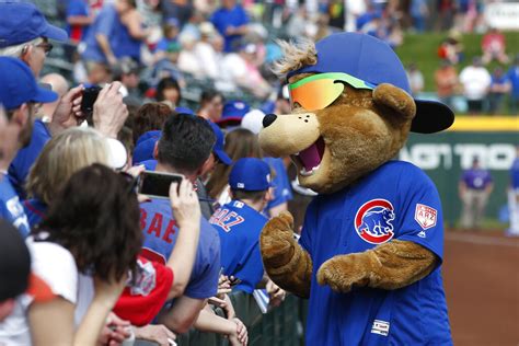 Survey: Sports Fans Rank the Best and Worst MLB Mascots