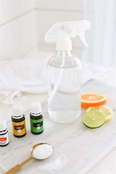 Using Citrus Oil To Prevent Carpenter Bees Spray Recipe And Instructions Updated For 2024