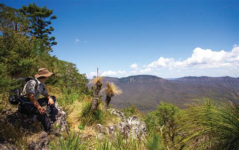 Scenic Rim Trail - Queensland Holidays - Natural Focus