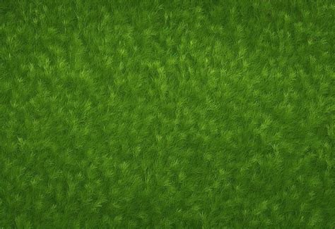 Premium Photo Vibrant Emerald Green Grass Texture