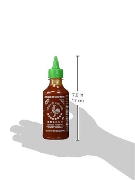 Huy Fong Sriracha Hot Chili Sauce 9 Ounce Bottle 2 Pack