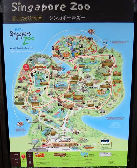 Singapore Zoo Map