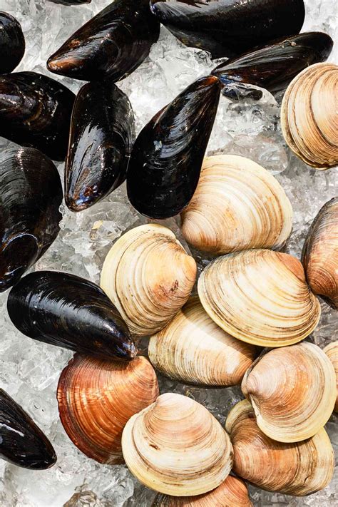 Clams vs. Mussels: What’s the Difference?