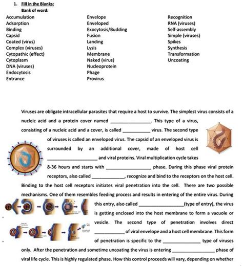 Solved Viruses Are Obligate Intracellular Parasites That Require A