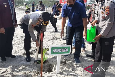 Polres Bangka Tanam Ribuan Pohon Di Lokasi Eks Tambang Antara News