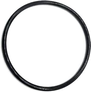 Amazon Onlineseal Replacement R O O Ring For Pentair