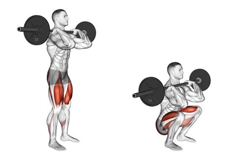 8 Best Types of Squat Variations (with Pictures!) - Inspire US