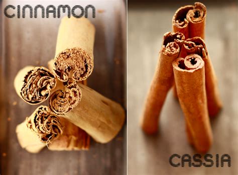 Spices Unearthed: Cinnamon & Cassia | Season with Spice