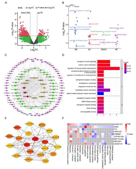 Differentially Expressed Long Non Coding Rnas Lncrnas And Functional