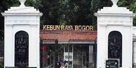 Harga Tiket Masuk Kebun Raya Bogor Terbaru November