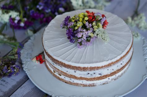 Naked Cake Ricotta E Cioccolato Basticook