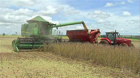 Pre O Da Soja Aumenta Em Mato Grosso Do Sul E Anima Produtores Globo