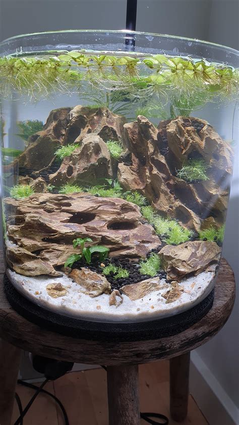 Quick update on my first Aquascape / planted tank. I added some more rocks and made one more ...