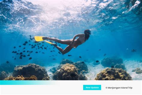 Snorkeling Tips for Beginners: A Guide to an Enjoyable Snorkeling