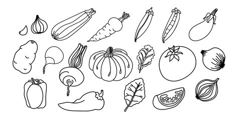 Vegetables Coloring Pages Vector Art, Icons, and Graphics for Free Download