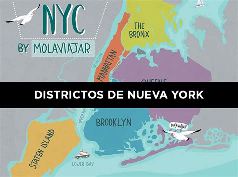 Distritos De Nueva York Cuáles Son Y Qué Visitar Molaviajar