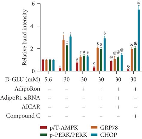 Effect Of AdipoR1 SiRNA AICAR And Compound C On The Levels Of P AMPK