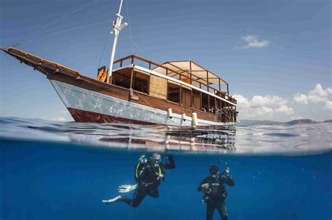 Our Unique Divemaster Program In Komodo What Is It About Manta Rhei