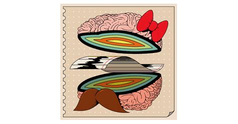 What Can Brain Scans Tell Us About Sex The New York Times