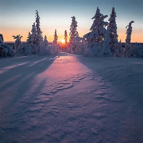 Sunrise In Lapland Have A Great Weekend Ps The Kaamos Polar