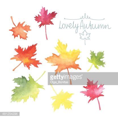 Watercolor Autumn Leaves Stock Clipart | Royalty-Free | FreeImages