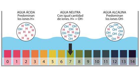 El Acuario Dureza PH Y Temperatura Del Agua WikiAcuario