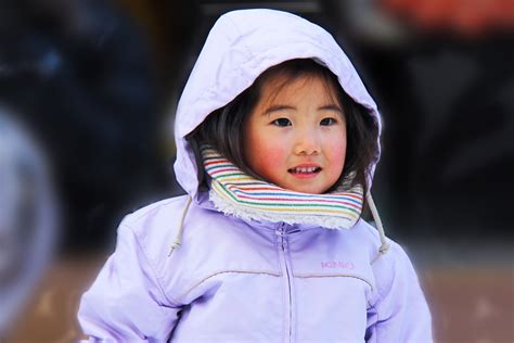 무료 이미지 사람 눈 감기 겨울 소녀 여자 화이트 단 아이 서리 귀엽다 얼음 초상화 어린이 화려한