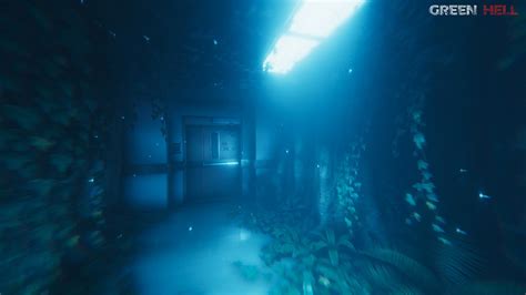 Купить ключ Green Hell для Steam